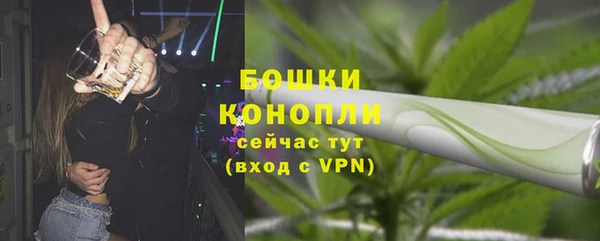 мдпв Володарск