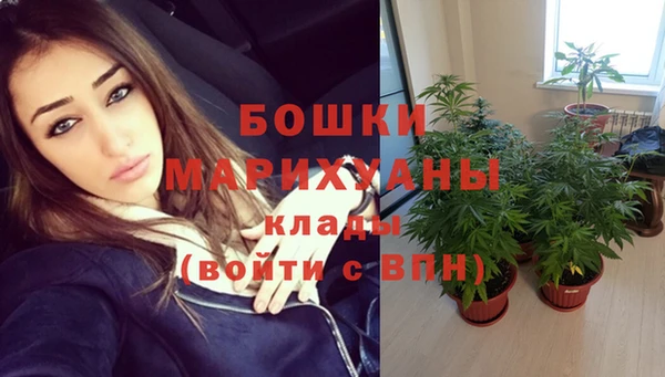 бошки Верхний Тагил