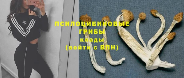 mix Богородск